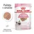 Royal Canin Kitten paštéta v omáčke, 85 g x12, pre mačiatka do 12 mesiacov, mäkká textúra pre mliečne zuby, obrázok mačky a paštéty na obale.