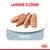 Lahodné zloženie. Paštéta – štyri kúsky paštéty na bielom tanieri, Royal Canin korunka v pravom dolnom rohu.