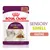 Royal Canin Sensory Smell kastike, 85 g. Pakkauksessa kissan kuva ja annos kastikeruokaa. Teksti: SENSORY SMELL, KASTIKE.