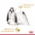 Royal Canin Shih Tzu Adult Mousse