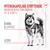 Royal Canin Joint & Ageing Adult Chews - kosttilskudd