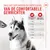 Royal Canin Joint & Ageing Adult Supplement Kauwsnacks