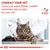 Text på engelska: CONSULT YOUR VET to find out which ROYAL CANIN veterinary diet is right for your cat. Bild på katt hos veterinär, logotyp: VETERINARY NUTRITION.