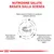 Nutrizione salute basata sulla scienza. Basso tenore di fosforo, contenuto proteico adattato, arricchito con EPA+DHA e antiossidanti, crocchetta adatta a mascelle di cani di piccola taglia.