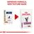 Image shows packaging change for Royal Canin Renal with Chicken, highlighting improved formula and new texture name. Old and new packs are displayed side by side with an arrow.