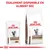 ROYAL CANIN GASTROINTESTINAL FIBRE RESPONSE pour chat, sachet et sac visibles. Texte en haut : ÉGALEMENT DISPONIBLE EN ALIMENT SEC.
