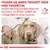 Fragen Sie Ihren Tierarzt oder Ihre Tierärztin, welche Nahrung aus dem Veterinär-Sortiment von Royal Canin die richtige Wahl für Ihren Hund ist. Veterinary Nutrition Logo sichtbar.