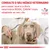 Consulte o seu médico veterinário para saber qual é a dieta veterinária ROYAL CANIN mais adaptada ao seu cão. VETERINARY NUTRITION.