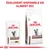 Royal Canin Gastrointestinal pour chat, sachet et sac visibles. Texte en haut : ÉGALEMENT DISPONIBLE EN ALIMENT SEC.
