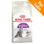 ROYAL CANIN Regular SENSIBLE 33, crocchette per gatti adulti sensibili. Testo visibile: 'Optimal Digestion', 'High Palatability'. Etichetta arancione: Top Seller. ROYAL CANIN Regular SENSIBLE 33, crocchette per gatti adulti sensibili. Testo visibile: 'Optimal Digestion', 'High Palatability'. Etichetta arancione: Top Seller.