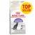 Royal Canin Regular Sterilised 37 kissanruokapakkaus, näkyvissä musta kissa ja teksti TOP SELLER keltaisella ympyrällä. Painotettu painonhallinta ja virtsateiden terveys.