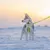 Hund trägt neon-gelbes Geschirr und Leine im Schnee. Das Bild zeigt die Passform und Anwendung des Geschirrs im Außenbereich. Hund trägt neon-gelbes Geschirr und Leine im Schnee. Das Bild zeigt die Passform und Anwendung des Geschirrs im Außenbereich.