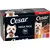 Cesar Mega Pack, 24x150g, Lantgryta i sås. 100 % komplett och balanserad. Olika sorter synliga i multipack.