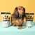 Pooch & Mutt Shrimp & Coconut probiotic meaty treats shown in packaging and as small cube pieces, with a pet demonstrating the product between two treat bags.