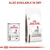Royal Canin Hepatic food shown in wet and dry forms, with text stating 'Also available in dry'.