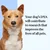 Text reads: Your dog's DNA will contribute to research that improves the lives of all pets.