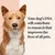 Text reads: Your dog’s DNA will contribute to research that improves the lives of all pets.