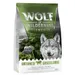 Wolf of Wilderness “Untamed Grasslands” hevonen – viljaton - 300 g