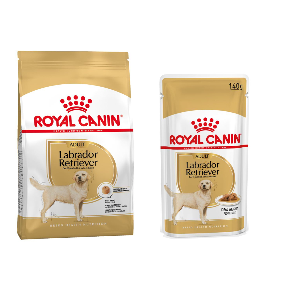 Royal Canin Breed pienso para perros + comida húmeda: ¡15 % de descuento! - Labrador Retriever Adult (12 kg) + Labrador Retriever en salsa (10 x 140 g)