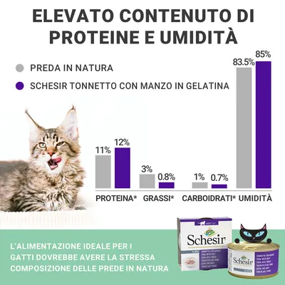 Grafico a barre: confronto tra preda in natura e Schesir Tonnetto con Manzo in Gelatina per proteine, grassi, carboidrati, umidità. Testo: 'Elevato contenuto di proteine e umidità'.