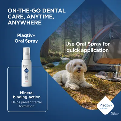 Plaqitv+ Oral Spray, mineral binding to prevent tartar. Quick application possible on the go. Plaqtiv+ oral care with XPERSIV. Plaqitv+ Oral Spray, mineral binding to prevent tartar. Quick application possible on the go. Plaqtiv+ oral care with XPERSIV.