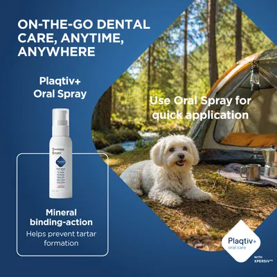 Plaqitv+ Oral Spray, quick application for dental care on the go. Mineral binding helps prevent tartar formation. With dog and tent in the background. Plaqitv+ Oral Spray, quick application for dental care on the go. Mineral binding helps prevent tartar formation. With dog and tent in the background.