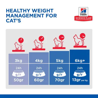 Hill's Science Plan Adult 1+ Sensitive Stomach & Skin Chicken Hill's Science Plan Adult 1+ Sensitive Stomach & Skin Chicken