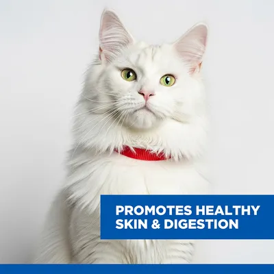 Hill's Science Plan Hypoallergenic Adult No Grain with Egg & Insect Protein