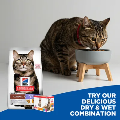 Hill's Science Plan Hairball & Perfect Coat Adult Chicken