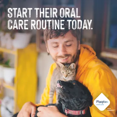 Text in image: Start their oral care routine today. Plaqtiv+ oral care with Xpersiv. Text in image: Start their oral care routine today. Plaqtiv+ oral care with Xpersiv.
