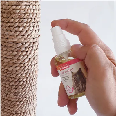 Spray beaphar CatComfort en mano, etiqueta visible con imagen de gato y texto '5 Stunden Wirksam', junto a un poste rascador de sisal.