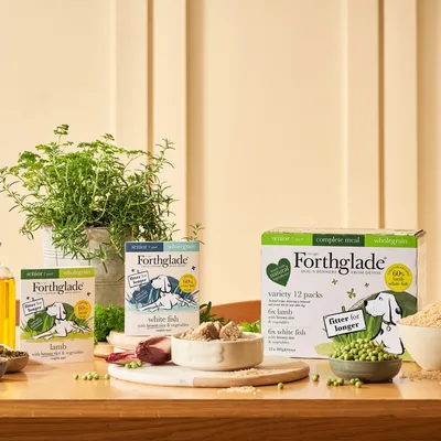 Forthglade senior wholegrain meals with lamb and white fish, showing packaging and ingredients including peas, rice, herbs, and a bowl of prepared food. Variety pack includes 12 trays.