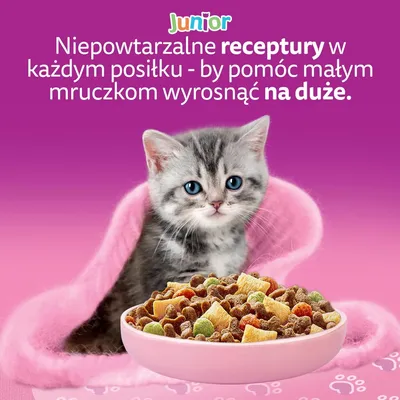 Whiskas Junior z kurczakiem