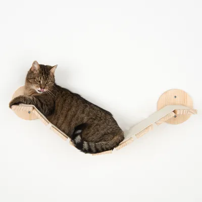Gato atigrado marrón tumbado en una hamaca de pared de madera con funda de tela, montada en dos soportes redondos de pared.