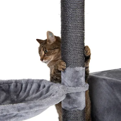 Kratzbaum mit grauem Plüsch und Sisal umwickeltem Stamm, Katze greift den Stamm. Sichtbar: Hängematte und gepolsterte Plattform.