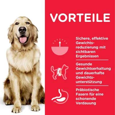 VORTEILE: Sichere, effektive Gewichtsreduzierung mit sichtbaren Ergebnissen. Gesunde Gewichtserhaltung und dauerhafte Gewichtsunterstützung. Präbiotische Fasern für eine schonende Verdauung.
