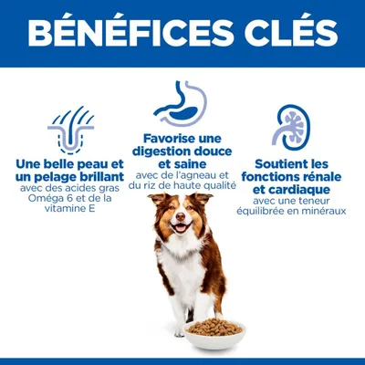 Principaux avantages : Une belle peau et un pelage brillant grâce aux acides gras oméga-6 et à la vitamine E, favorise une digestion douce, soutient la fonction rénale et cardiaque grâce à une teneur équilibrée en minéraux. Principaux avantages : Une belle peau et un pelage brillant grâce aux acides gras oméga-6 et à la vitamine E, favorise une digestion douce, soutient la fonction rénale et cardiaque grâce à une teneur équilibrée en minéraux.