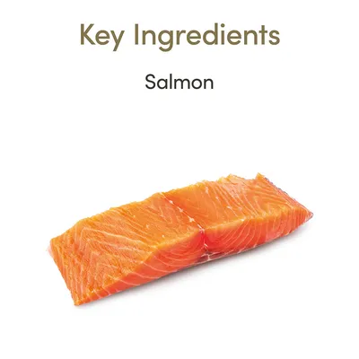 Teksti: Key Ingredients, Salmon. Kuvassa lohifilee. Teksti englanniksi.