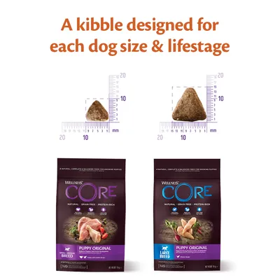 Comparison of two kibble sizes with rulers, showing different shapes for small/medium and large breeds. Two bags of puppy food labelled 'Puppy Original' are shown below each kibble.