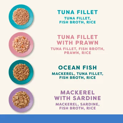 Applaws in Broth Multibuy 48 x 70g - Fish Selection (4 Varieties)