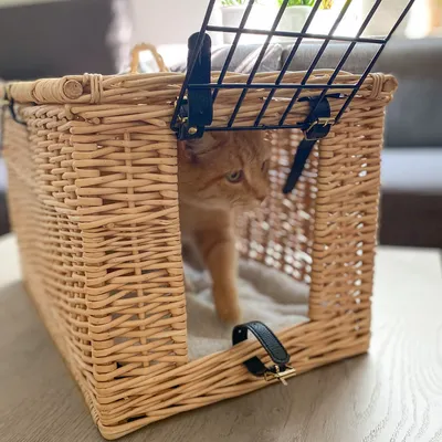 Transportkorg av flätat trä med metallgaller och läderremmar, katt synlig inuti korgen.