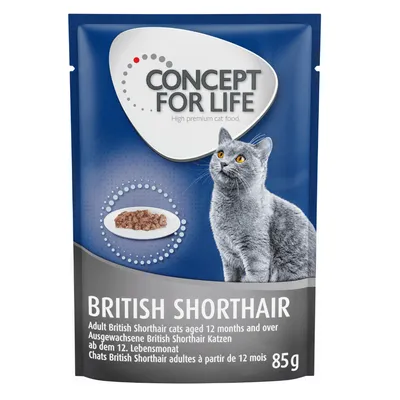 Concept for Life cibo umido per gatti British Shorthair adulti dai 12 mesi, confezione da 85g.