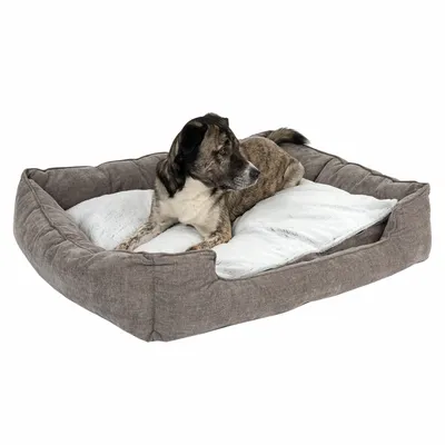Hund liegt auf einem grauen Hundebett mit weissem Kissen. Produkt zeigt Komfort und Design des Bettes.