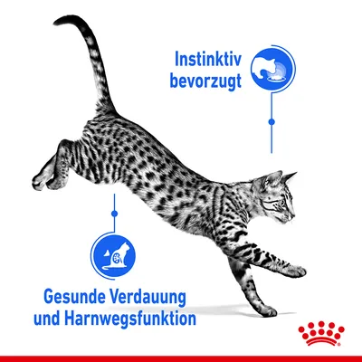 Royal Canin: Instinktiv bevorzugt, gesunde Verdauung und Harnwegsfunktion. Katze springt mit hervorgehobenen Produktvorteilen.