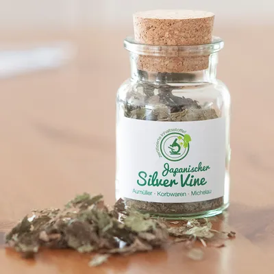 Bote de cristal con tapón de corcho, etiqueta visible: 'Japanischer Silver Vine', marca Aumüller Korbwaren Michelau. Hojas secas delante del bote.