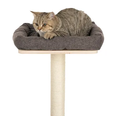 Kratzbaum mit gepolsterter Liegefläche aus braunem Stoff, darauf liegt eine getigerte Katze.