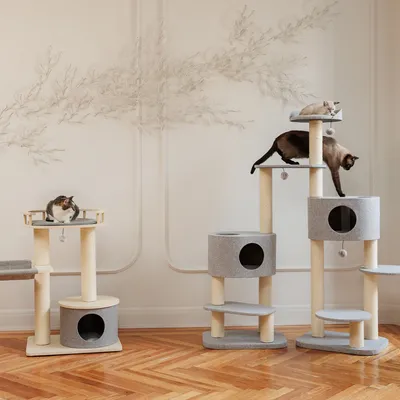 Two cat trees with multiple levels, caves and toy balls. Three cats demonstrate the use of the cat trees in a living room.