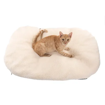 Beige husdjursbädd av mjukt material med en orange katt liggande på. Passar för komfort och avkoppling för husdjur.