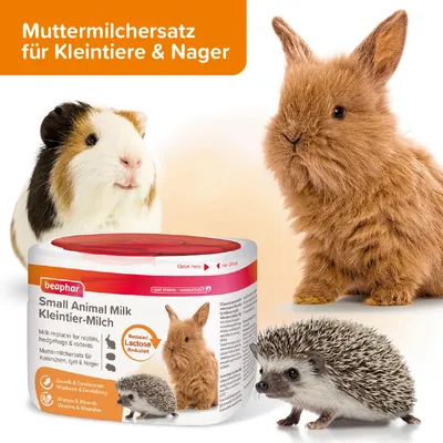 Beaphar Small Animal Milk, modersmjölksersättning för kaniner, igelkottar och gnagare. Laktosreducerad, främjar tillväxt och utveckling, innehåller vitaminer och mineraler.