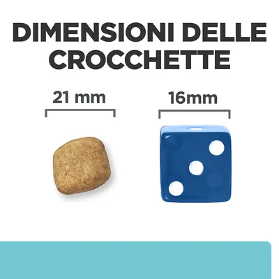 Dimensioni delle crocchette: 21 mm accanto a un dado blu da 16 mm, testo visibile 'DIMENSIONI DELLE CROCCHETTE', confronto tra crocchetta e dado.